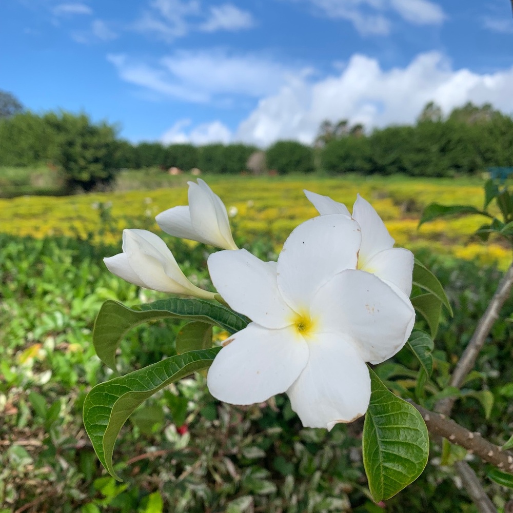Meet your Posher, Edith